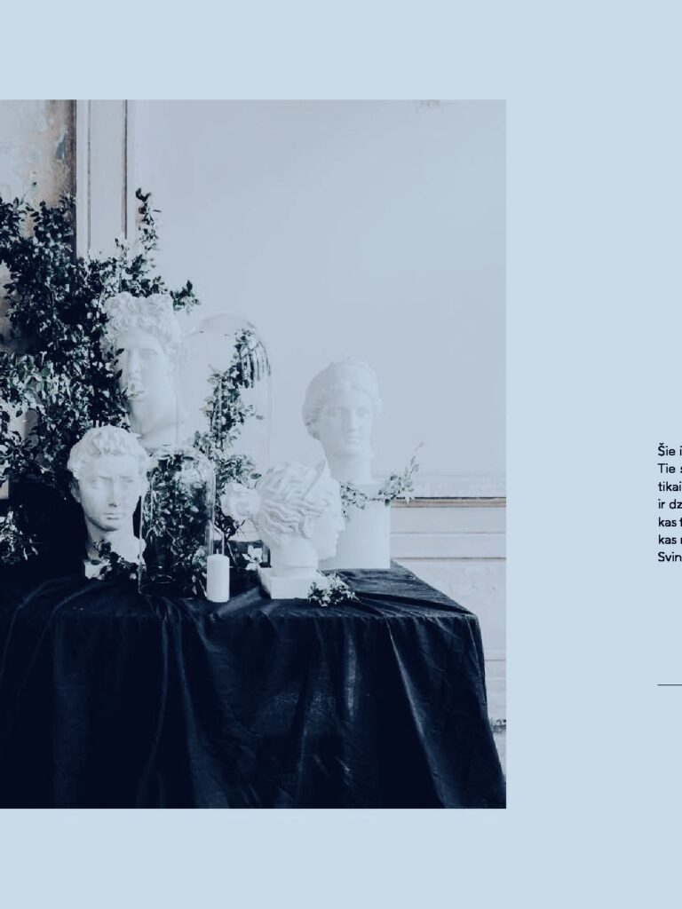 SVINAM - a book by Baiba Prindule - Rence